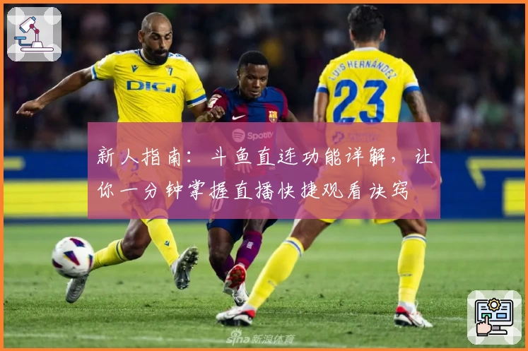 新人指南：斗鱼直连功能详解，让你一分钟掌握直播快捷观看诀窍