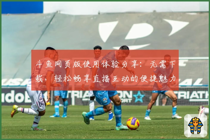 斗鱼网页版使用体验分享：无需下载，轻松畅享直播互动的便捷魅力