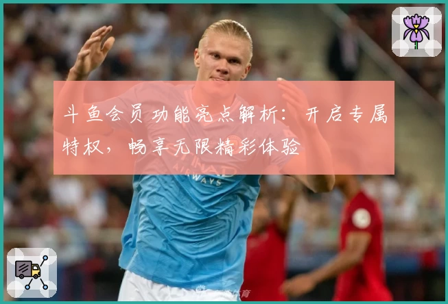 斗鱼会员功能亮点解析：开启专属特权，畅享无限精彩体验