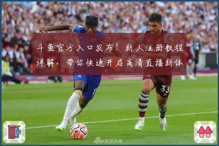 斗鱼官方入口发布!新人注册教程详解,带你快速开启高清直播新体验