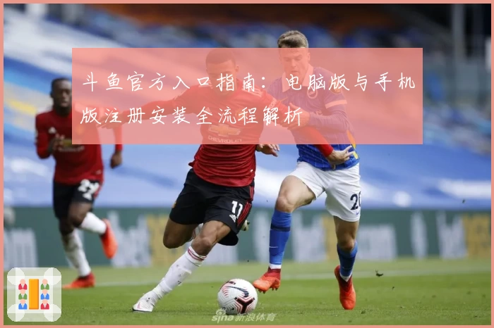 斗鱼官方入口指南：电脑版与手机版注册安装全流程解析