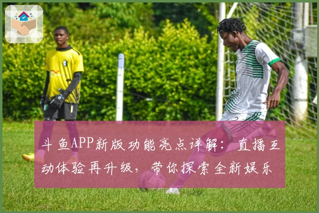 斗鱼APP新版功能亮点详解：直播互动体验再升级，带你探索全新娱乐视界