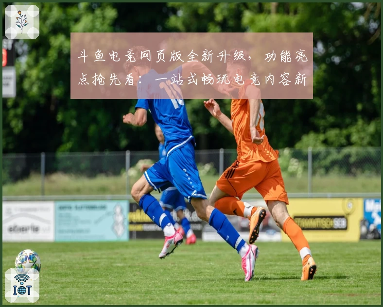 斗鱼电竞网页版全新升级，功能亮点抢先看：一站式畅玩电竞内容新体验