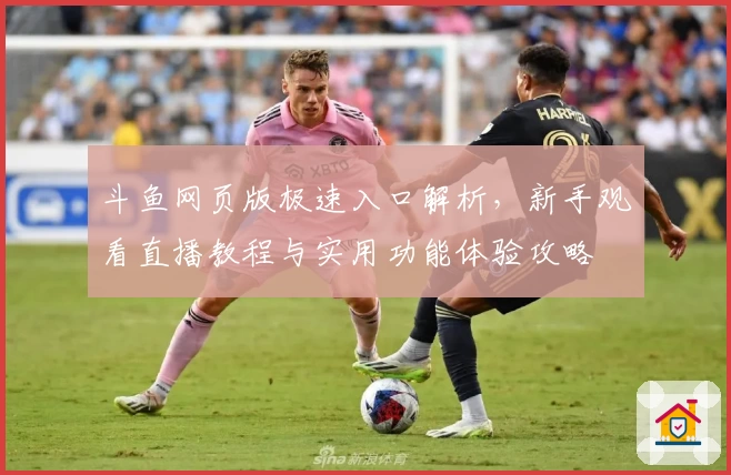 斗鱼网页版极速入口解析，新手观看直播教程与实用功能体验攻略