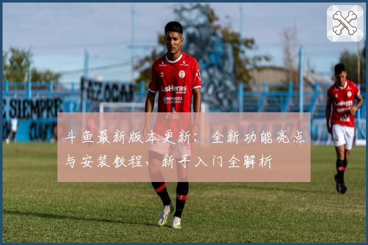 斗鱼最新版本更新：全新功能亮点与安装教程，新手入门全解析