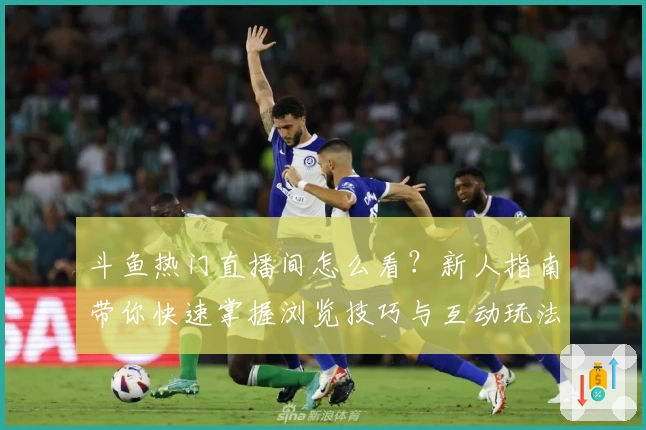 斗鱼热门直播间怎么看？新人指南带你快速掌握浏览技巧与互动玩法