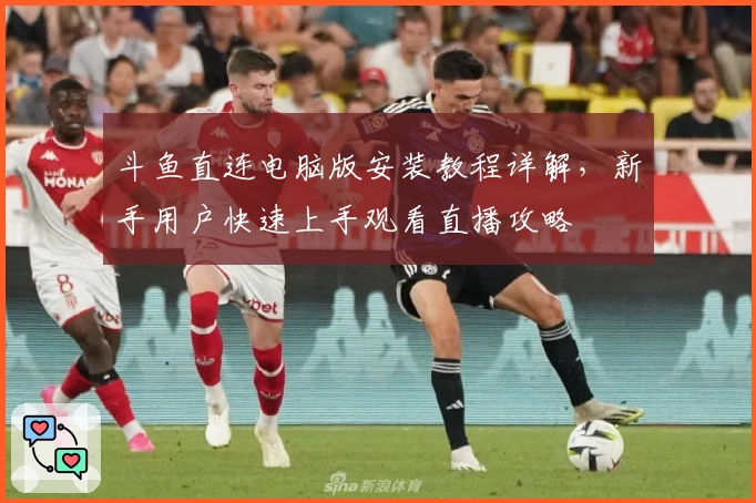 斗鱼直连电脑版安装教程详解,新手用户快速上手观看直播攻略