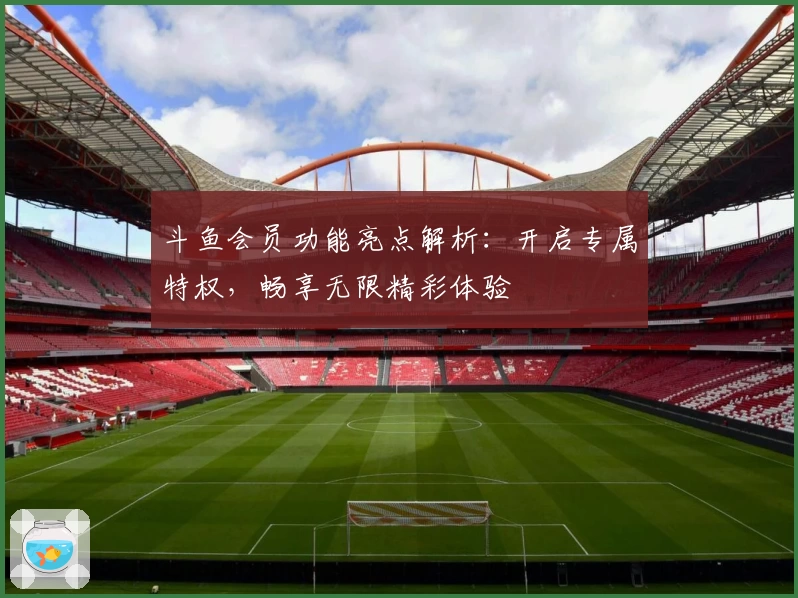 斗鱼会员功能亮点解析：开启专属特权，畅享无限精彩体验