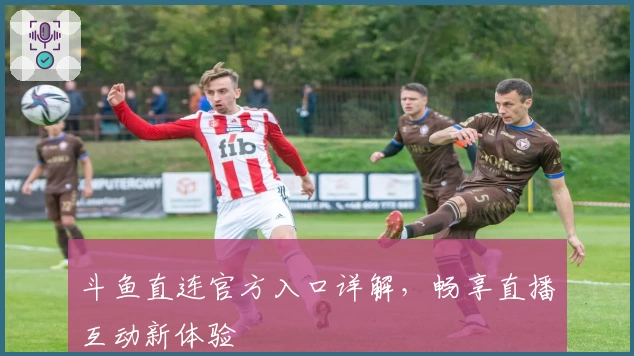 斗鱼直连官方入口详解，畅享直播互动新体验